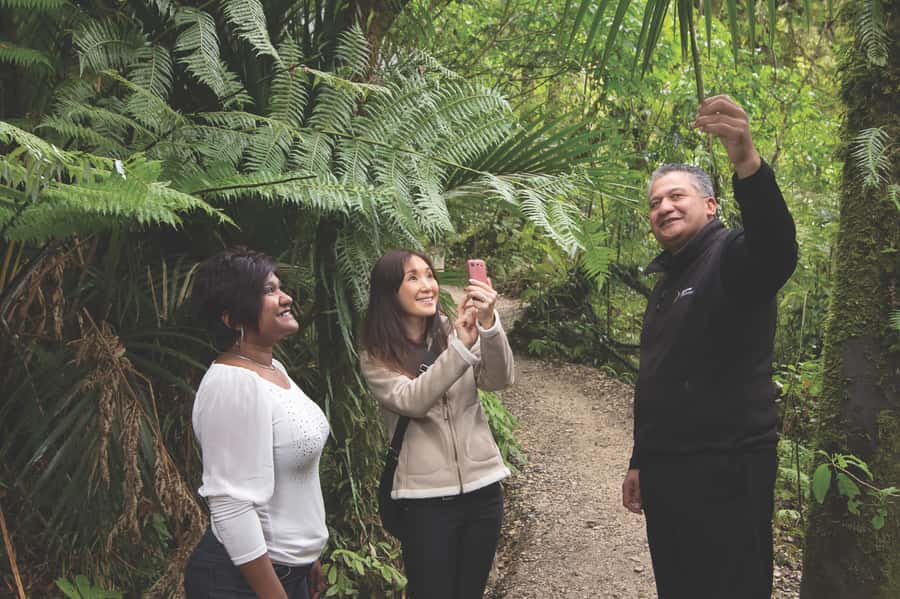 Aranui Cave 1-Hour Guided Tour - Practical preparation for the walk