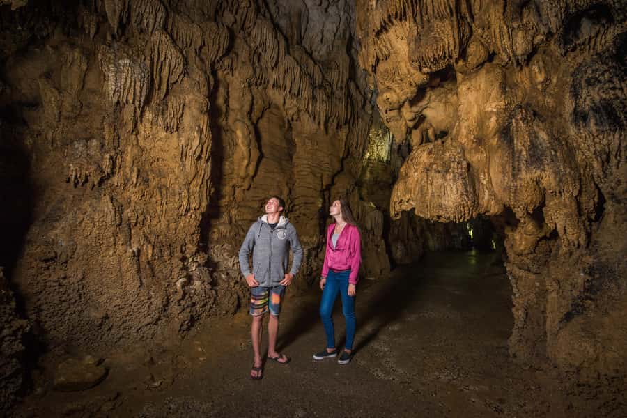 Aranui Cave 1-Hour Guided Tour - Meeting the cave wetas near the entrance