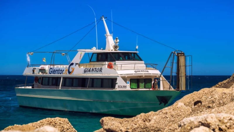 Arbatax: Orosei Gulf Cruise with Optional Fico Cave Visit - Key points to know before you book