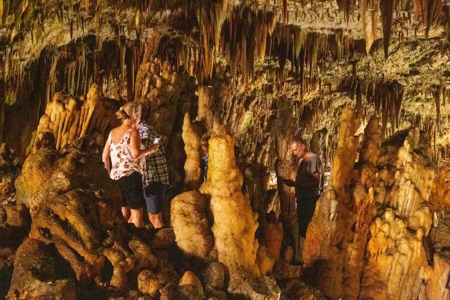 Argostoli: Melissani & Drogarati Cave Tour with Wine Tasting - Who will get the most from this excursion?