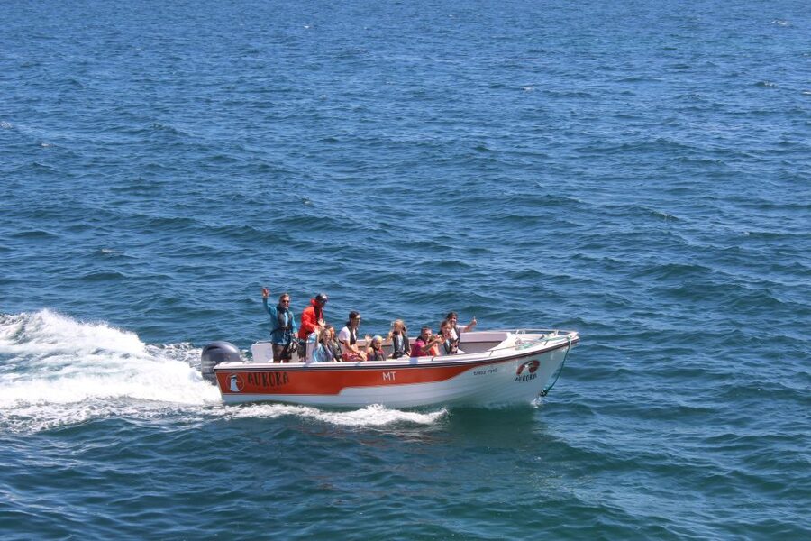 Armação de Pêra: Guided Boat Tour of Benagil's 15 Best Caves - Benagil Cave without a kayak