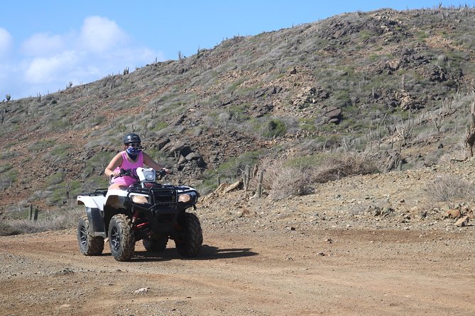Aruba UTV, ATV Adventure to Secret Beach and Cave Pool - Arashi Beach gives the tour a softer finish