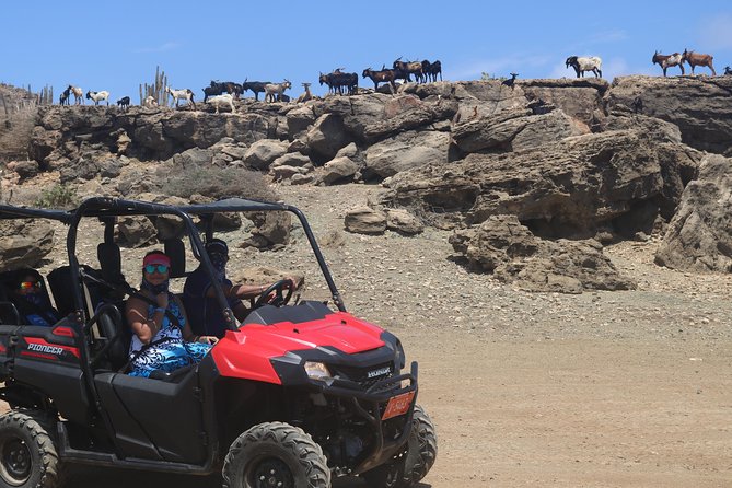 Aruba UTV, ATV Adventure to Secret Beach and Cave Pool - What the ride is really like