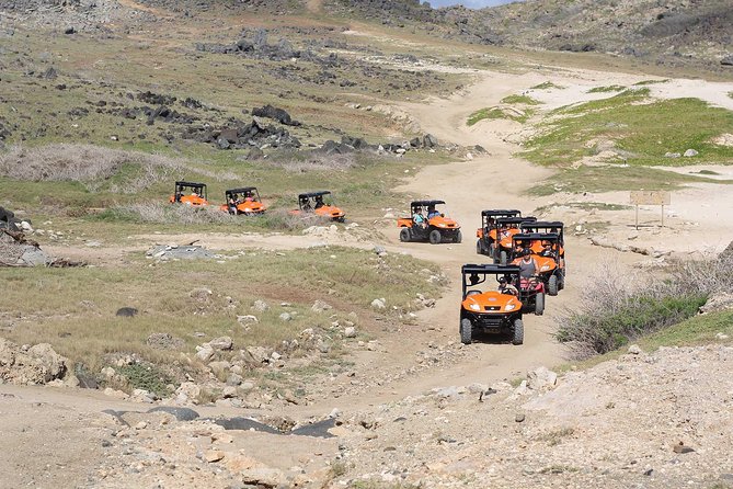 Aruba UTV Tour with Natural Cave Pool and Cliff Jumping - Pickup, vehicles, and the first hour