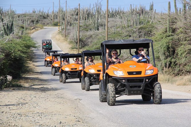 Aruba UTV Tour with Natural Cave Pool and Cliff Jumping - Bushiribana Ruins and Aruba’s gold-mining past
