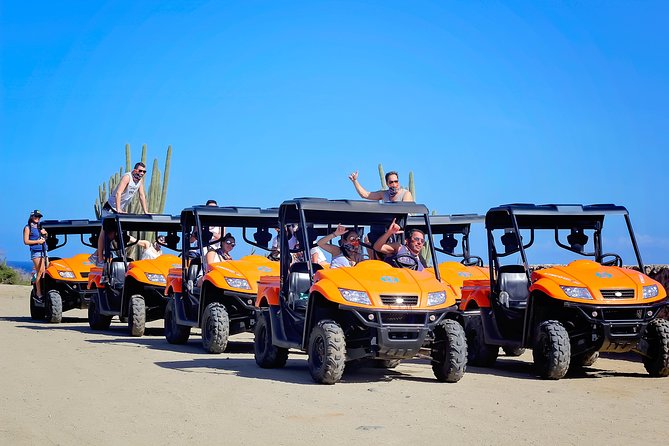 Aruba UTV Tour with Natural Cave Pool and Cliff Jumping - Philip’s Animal Garden: a gentle start before the rough roads