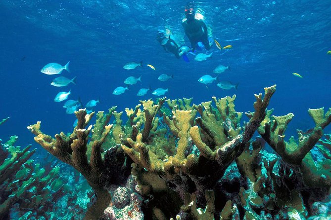 ATV Adventure Combo with Snorkeling, Ziplines, Cenote, and Lunch - Swimming at a Mayan cenote