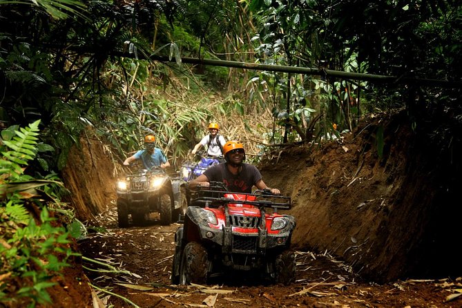ATV Combo Horseback Riding, ATV, Ziplines, Cenote and Lunch - A calmer horseback trail through the trees