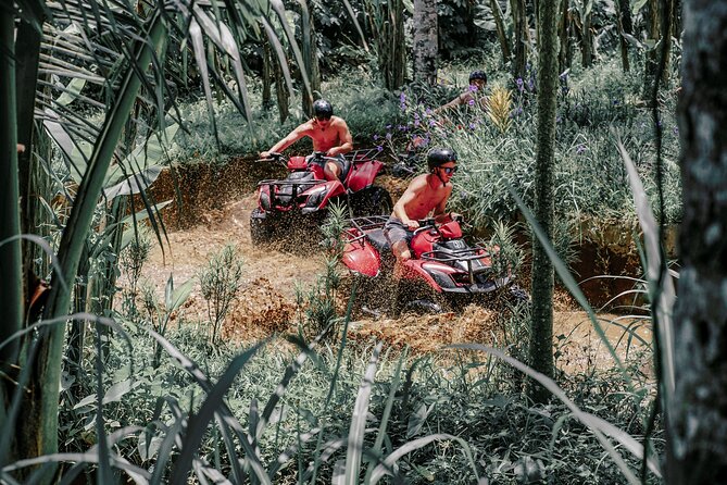 ATV Quad Bike Bali with Waterfall Gorilla Cave and Lunch - Who should book this Ubud ATV tour?