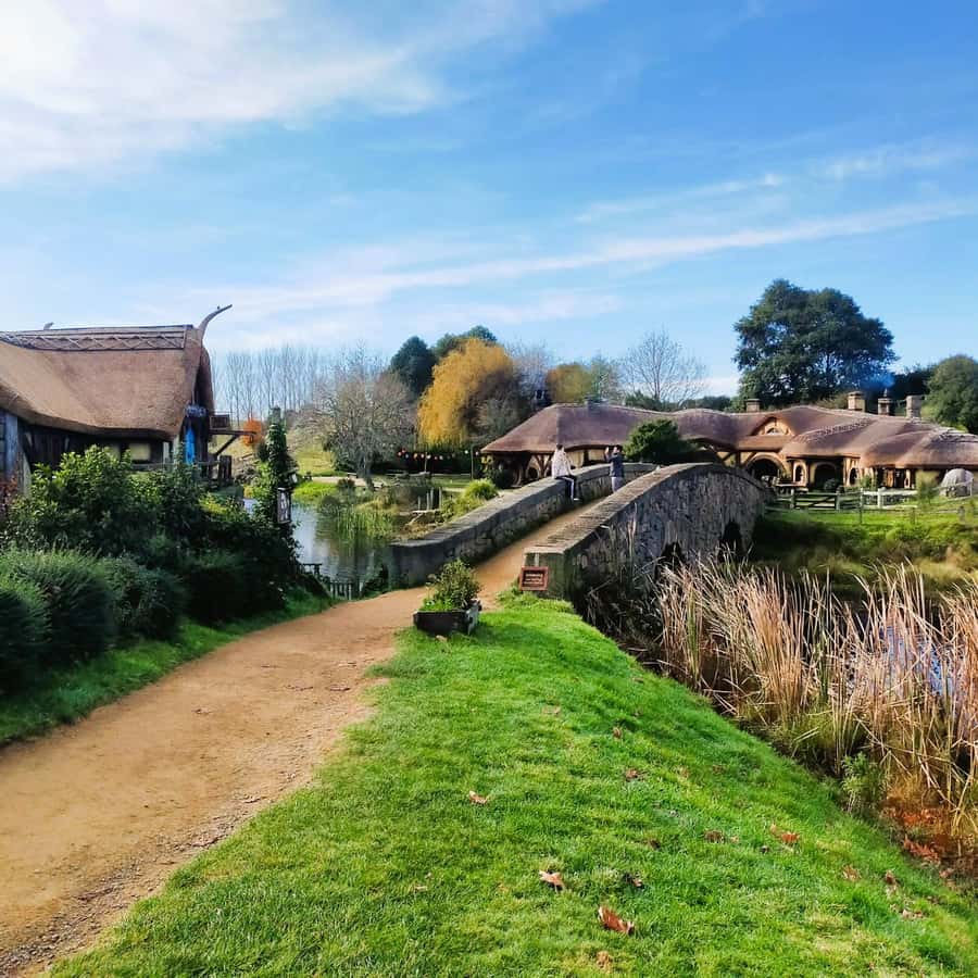 Auckland: Hobbiton & Waitomo Caves Small-Group Tour & Lunch - The guide can make or break a long day