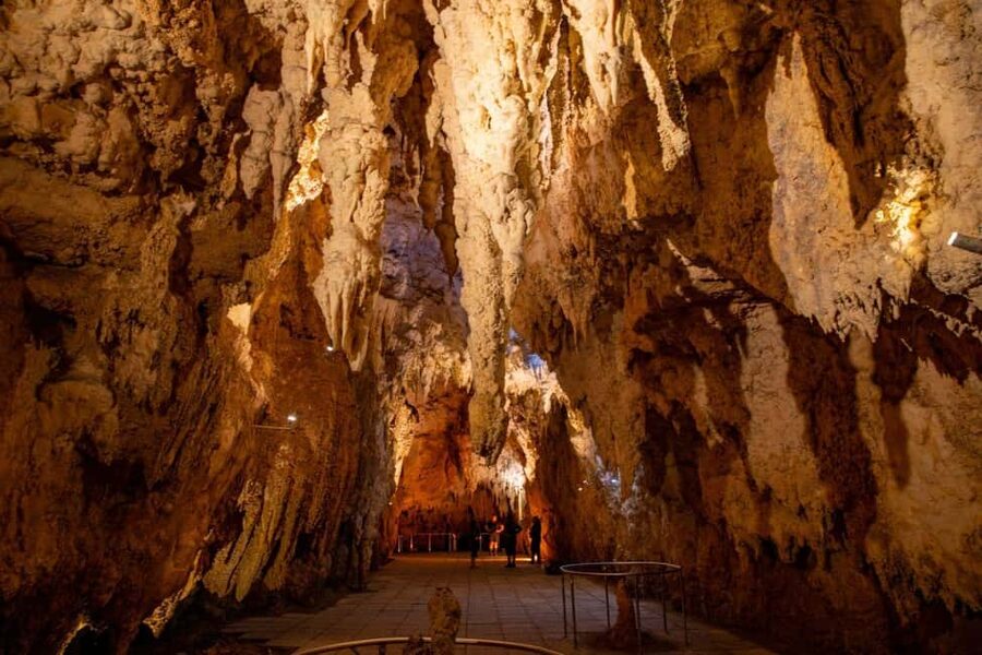 Auckland: One-Way Tour to Rotorua with Waitomo Caves - Seeing Rotorua before your hotel drop-off
