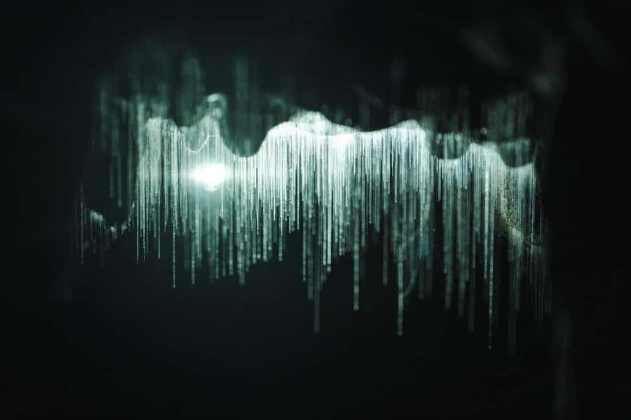 Auckland: One-Way Tour to Rotorua with Waitomo Caves - Who should book this tour