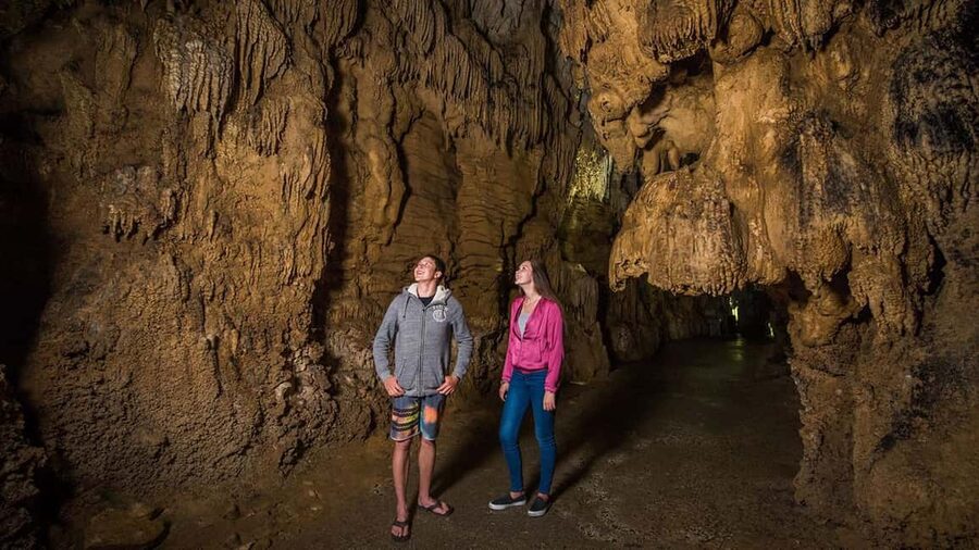 Auckland: One-Way Tour to Rotorua with Waitomo Caves - Leaving Auckland for the Waikato countryside