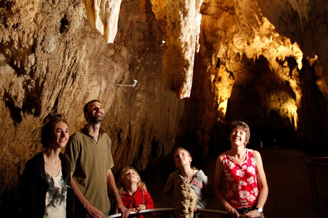 Auckland: Rotorua Māori Village, Waitomo Caves & Lunch - The road to Waitomo