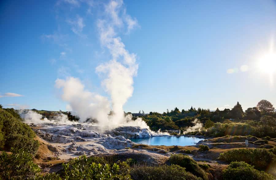 Auckland: Rotorua Māori Village & Waitomo Caves with Lunch - Lunch before the long road to Waitomo