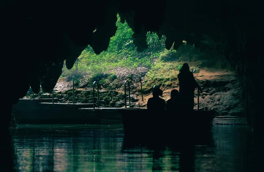 Auckland: Rotorua Māori Village & Waitomo Caves with Lunch - The return to Auckland and the real cost of the day