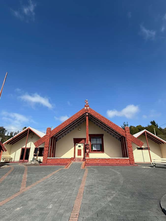 Auckland: Rotorua Māori Village & Waitomo Caves with Lunch - Booking details that matter