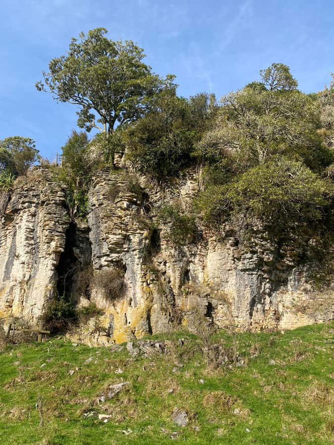 Auckland: Spellbound Glowworm Caves Explorer Tour - Otorohanga lunch stop and the trip home