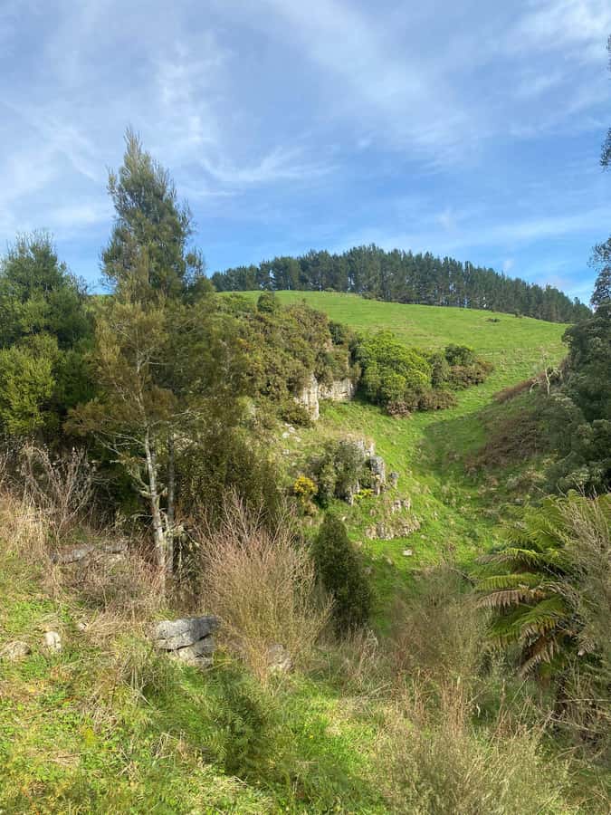 Auckland: Spellbound Glowworm Caves Explorer Tour - Is $194 a fair price?