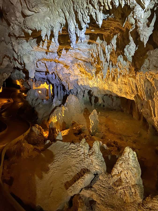 Auckland: Spellbound Glowworm Caves Explorer Tour - Practical tips for a better day