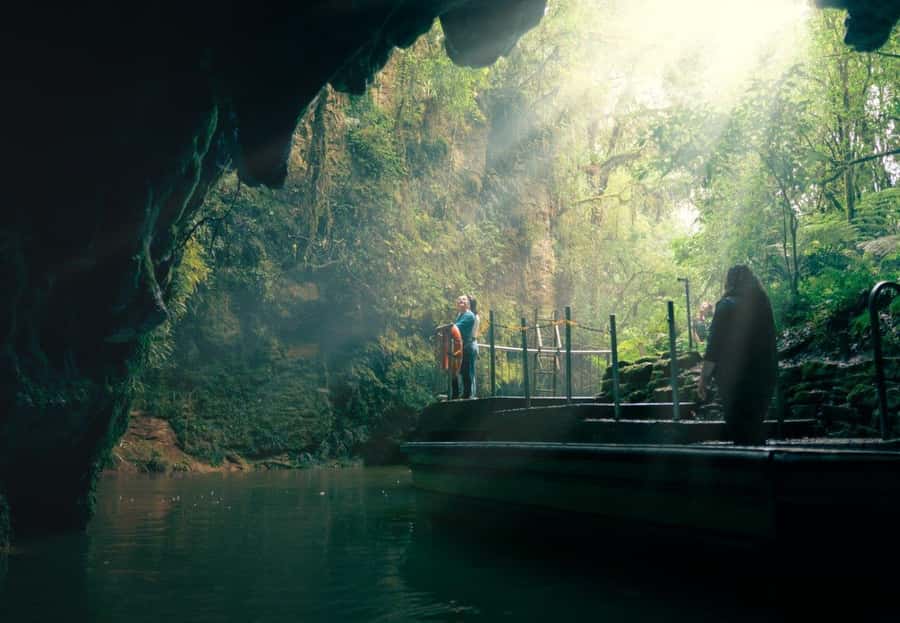 Auckland: Waitomo Caves & Rotorua - Te Puia Small-Group Tour - The minibus ride through Waikato