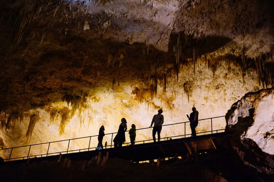 Augusta: Jewel Cave Fully-Guided Tour - The fossil story: Tasmanian tigers in the darkness