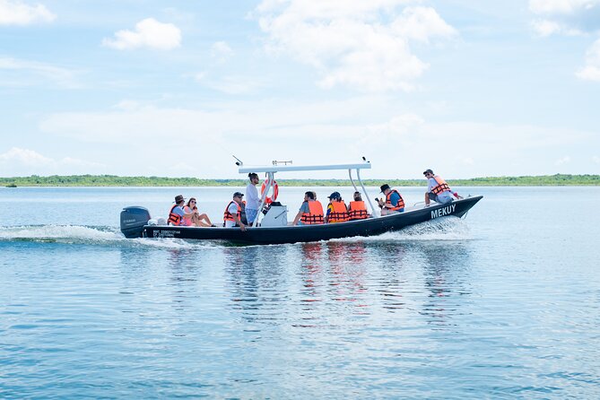 Bacalar Boat Tour and Visit to Cenotes - What the boat experience feels like for families and couples