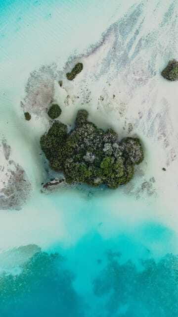 Bacalar & Cenotes: 3 hours kayak rental with snorkeling gear - Is $23 a good value?