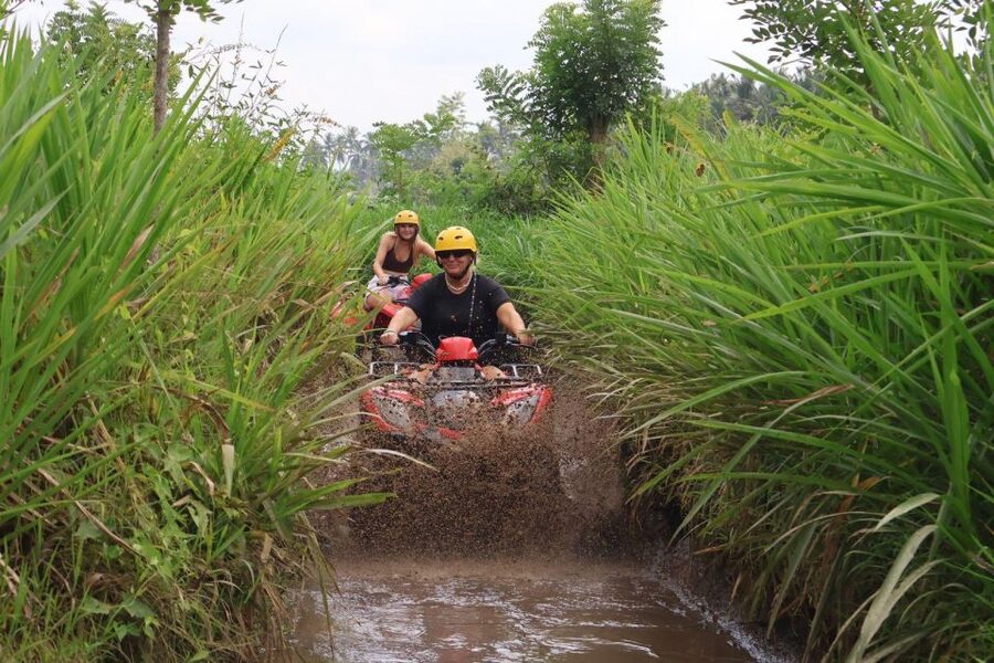 Bali: ATV Gorilla Cave, Ubud Monkey Forest, & Waterfall Tour - Ubud Monkey Forest, where the animals set the rules