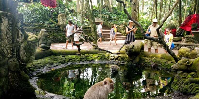 Bali: ATV Gorilla Cave, Ubud Monkey Forest, & Waterfall Tour - Tegenungan Waterfall, a useful final pause