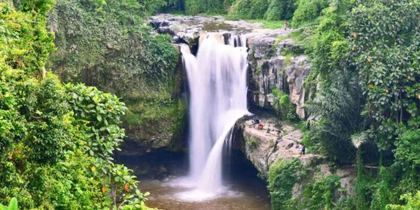 Bali: ATV Gorilla Cave, Ubud Monkey Forest, & Waterfall Tour - What the $53 price really covers