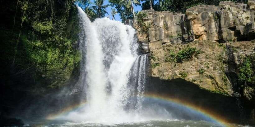 Bali: ATV Gorilla Cave, Ubud Monkey Forest, & Waterfall Tour - Who should book this Bali combination tour?
