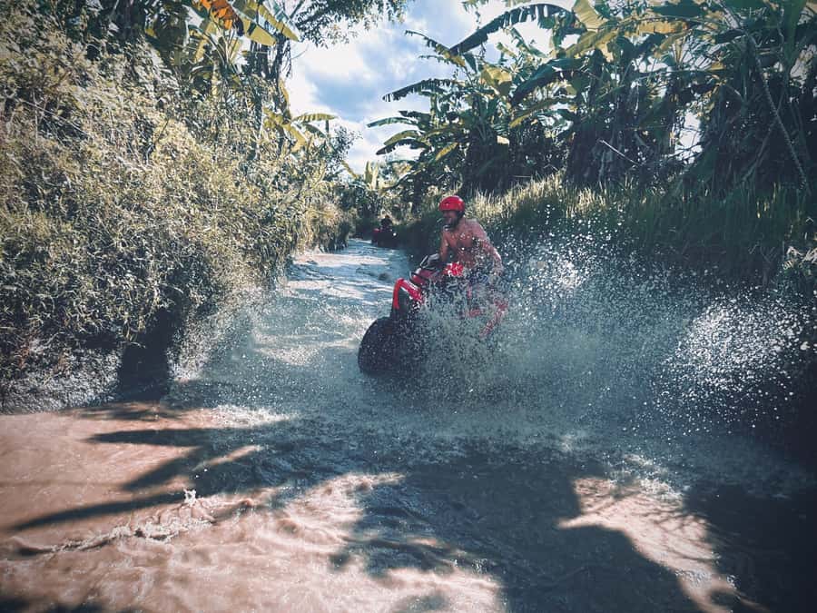 Bali: Ubud Gorilla Cave Track ATV & Waterfall Tour with Meal - Who will enjoy this Ubud adventure most