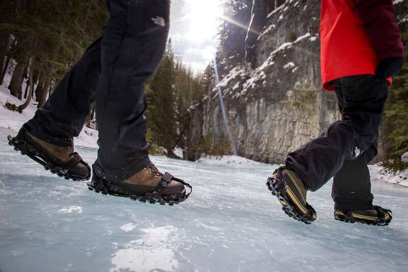 Banff: Grotto Canyon Icewalk - The stunted pines and clues in the snow