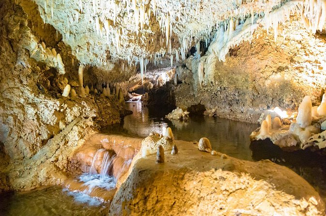 Barbados Harrison's Cave and Atlantis Submarine Dive Tour - Who will get the most from this tour