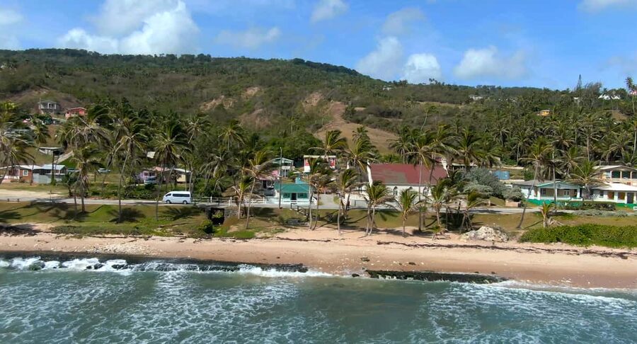 Barbados: Island Tour with Animal Flower Cave and Lunch - What the guide adds to a six-hour circuit