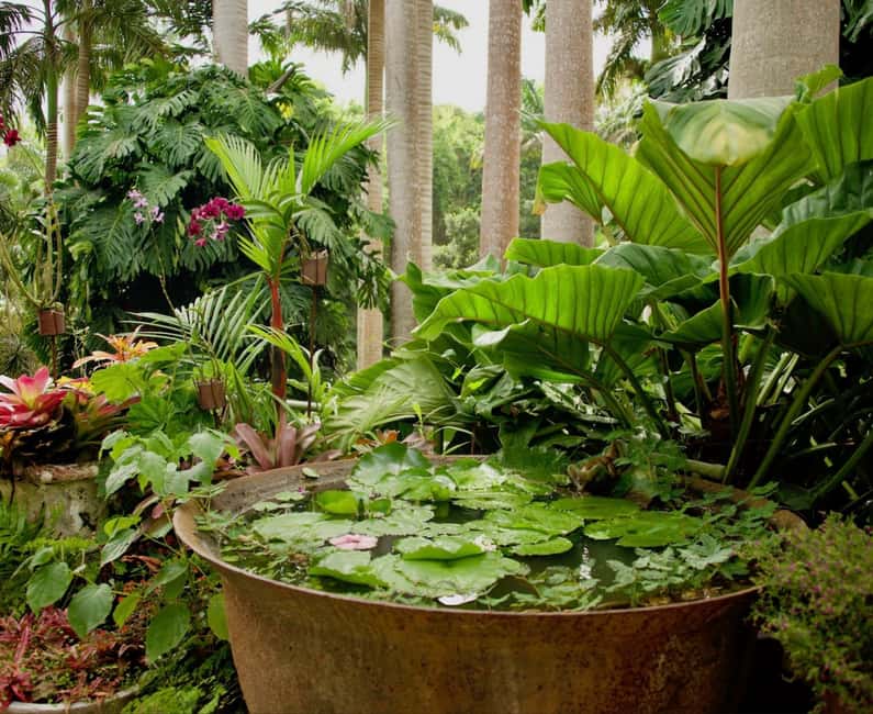 Barbados: Tour of Harrison's Cave & Hunte's Gardens - Two very different sides of Barbados in five hours