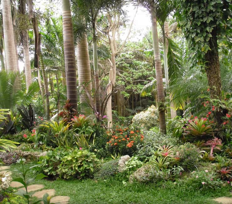 Barbados: Tour of Harrison's Cave & Hunte's Gardens - Hunte’s Gardens, a garden with a sense of surprise