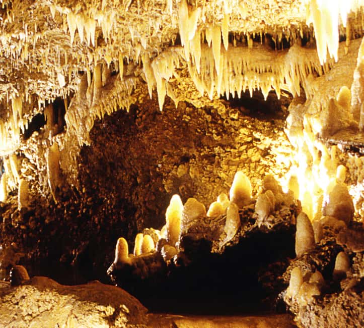Barbados: Tour of Harrison's Cave & Hunte's Gardens - The guides can shape the whole morning