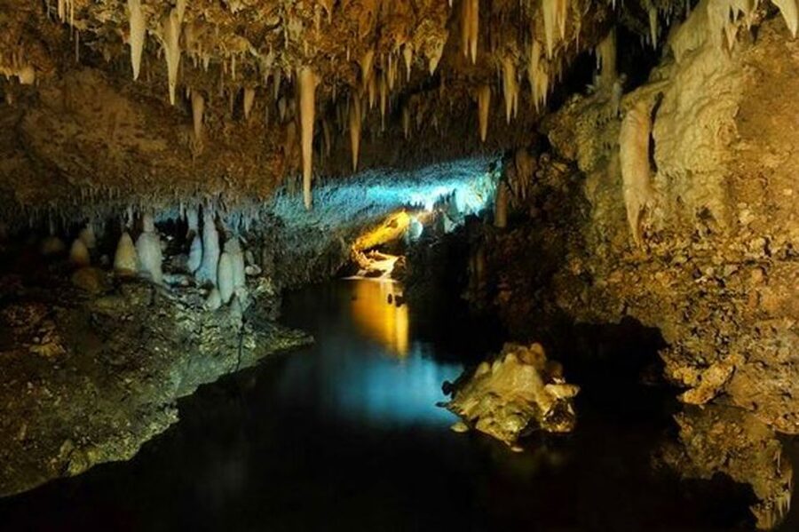 Barbados: Tour of Harrison's Cave & Hunte's Gardens - How the five hours usually feels