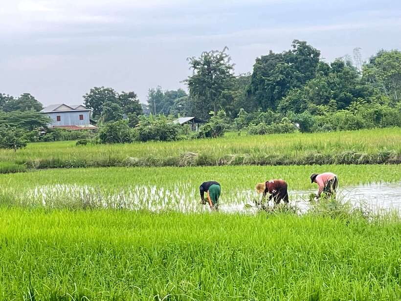 Battambang: Bamboo Train, Bat Cave and Killing Cave Tour - Who should book this afternoon tour?