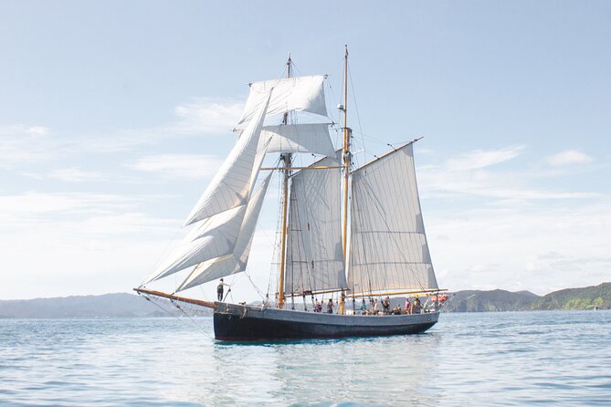Bay of Islands Glow Worm Caves & Scenic Shore Excursion - The schedule is designed around a ship’s departure