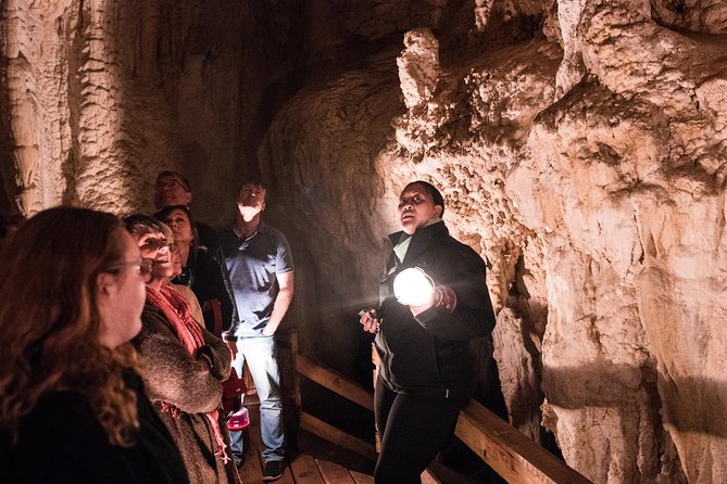Bay of Islands Glow Worm Caves & Scenic Shore Excursion - A well-paced route from Paihia and Waitangi