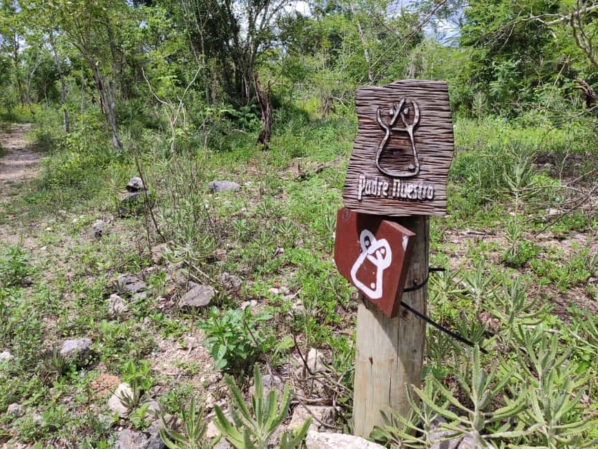 Bayahibe: National Park Jungle Walk & Snorkeling in Cenotes - What to bring and what to expect