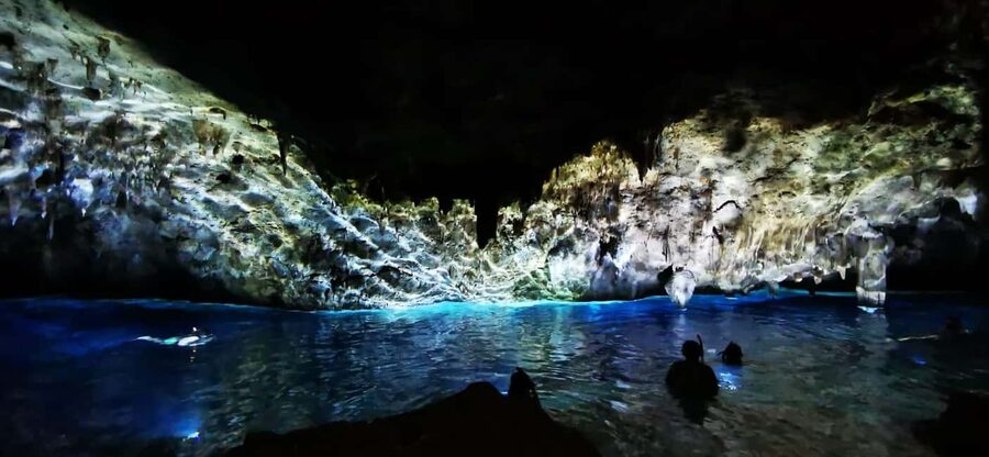 Bayahibe: National Park Jungle Walk & Snorkeling in Cenotes - What the transport and timing are like