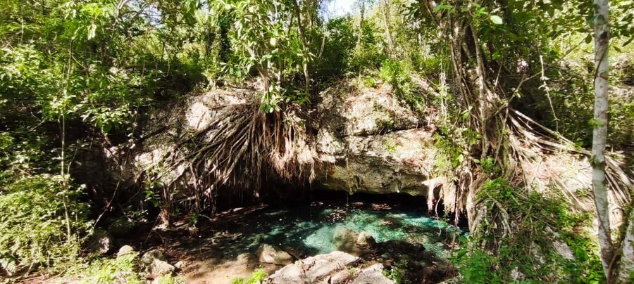Bayahibe: National Park Jungle Walk & Snorkeling in Cenotes - A small group makes a difference