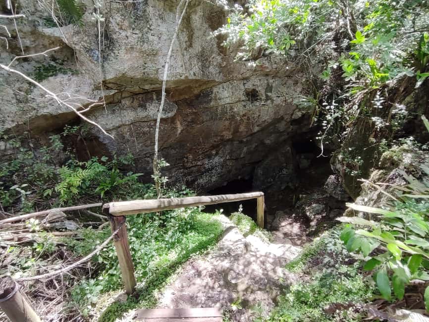 Bayahibe: National Park Jungle Walk & Snorkeling in Cenotes - The aperitif after the swim