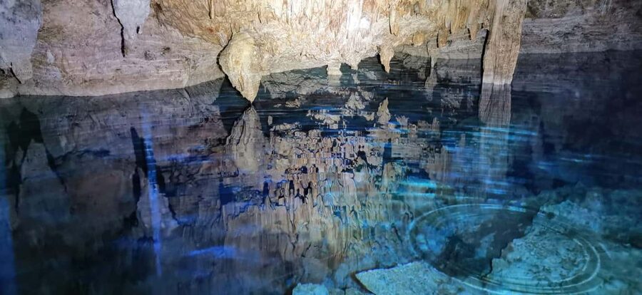 Bayahibe: National Park Jungle Walk & Snorkeling in Cenotes - The jungle walk through Cotubanama National Park