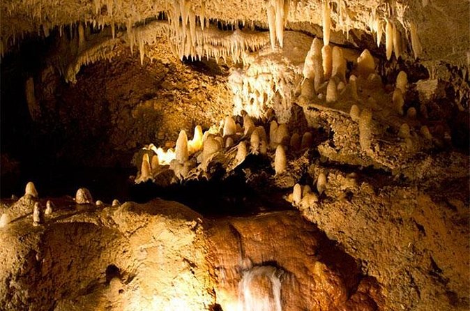 Beautiful Barbados: Harrisons Cave & Beach Day Tour - What happens at Savvy On The Bay