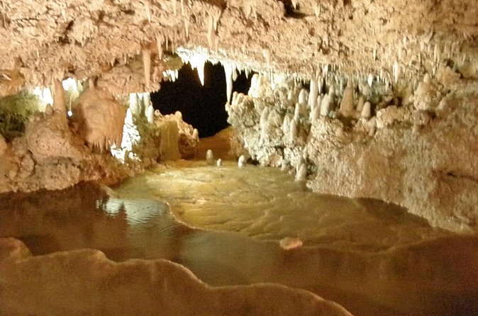 Beautiful Barbados: Harrisons Cave & Beach Day Tour - Who will enjoy this half-day outing